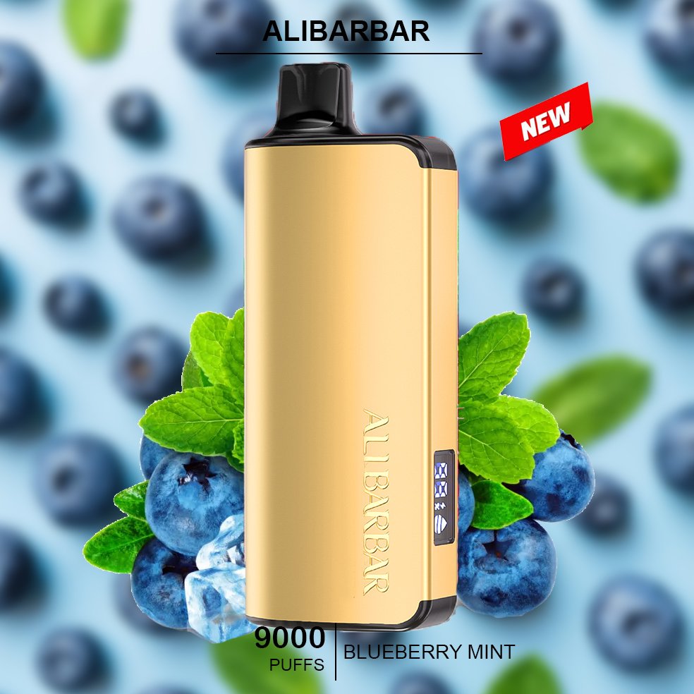 alibarbar ingot blueberry mint– 9000 puffs.jpg