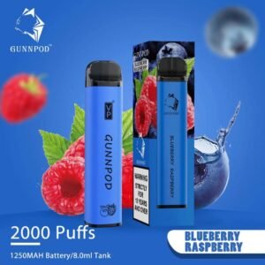 bluberry raspberry gunnpod 2000 puffs vape.jpg