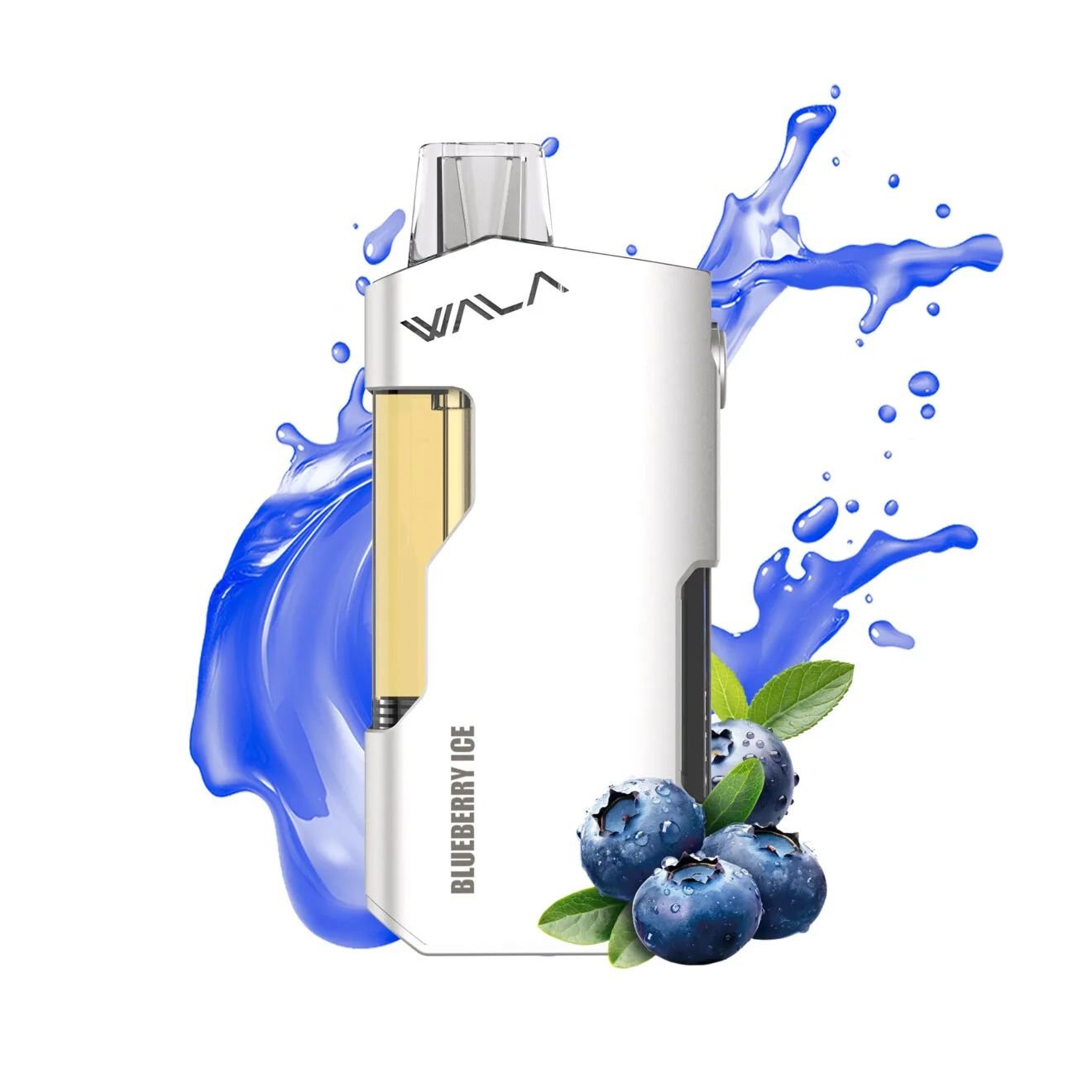blueberry.jpg