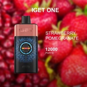 iget one strawberry pomegranate 12000 puffs.jpg