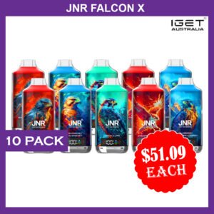 jnr falcon 18000 puffs 10 pack 1.jpg