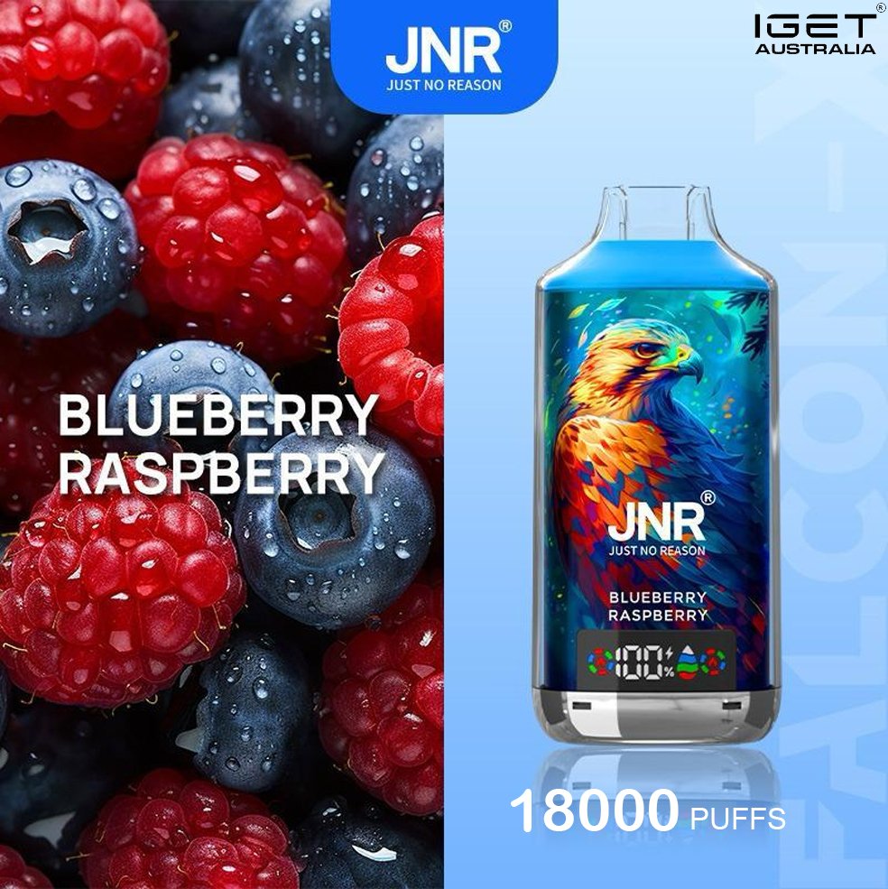 jnr falcon x blueberry raspberry 18000 puffs.jpg
