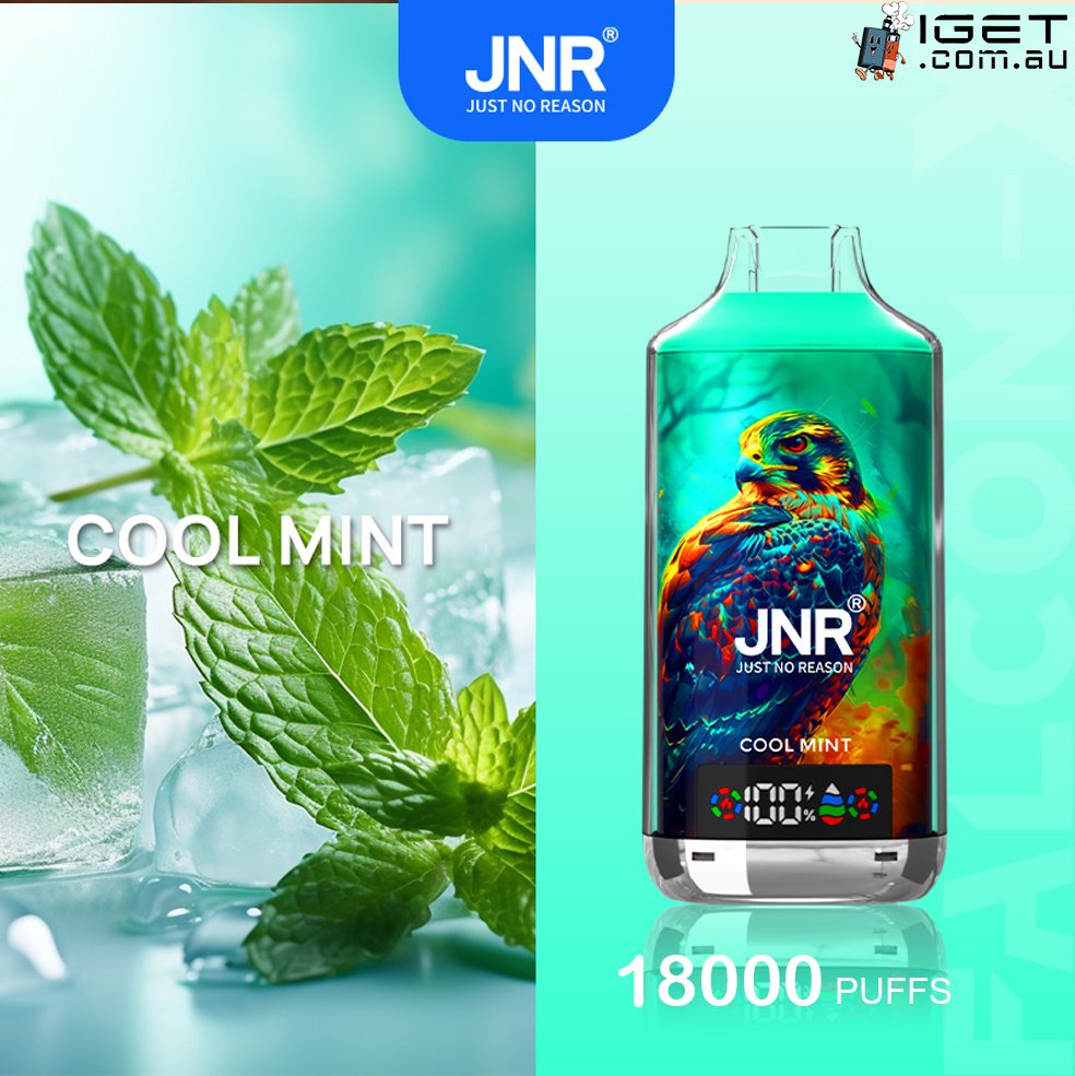 jnr falcon x cool mint 18000 puffs.jpg