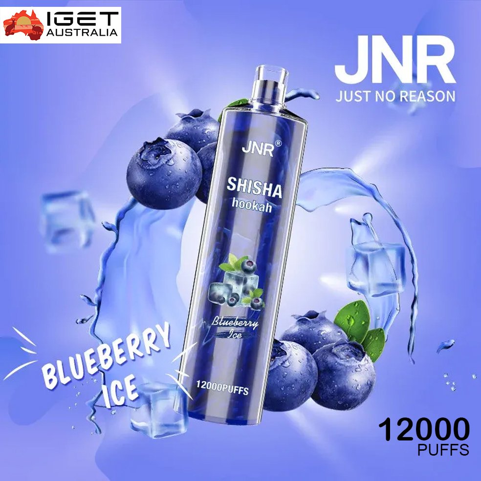 jnr shisha hookah blueberry ice 12000 puffs 1.jpg