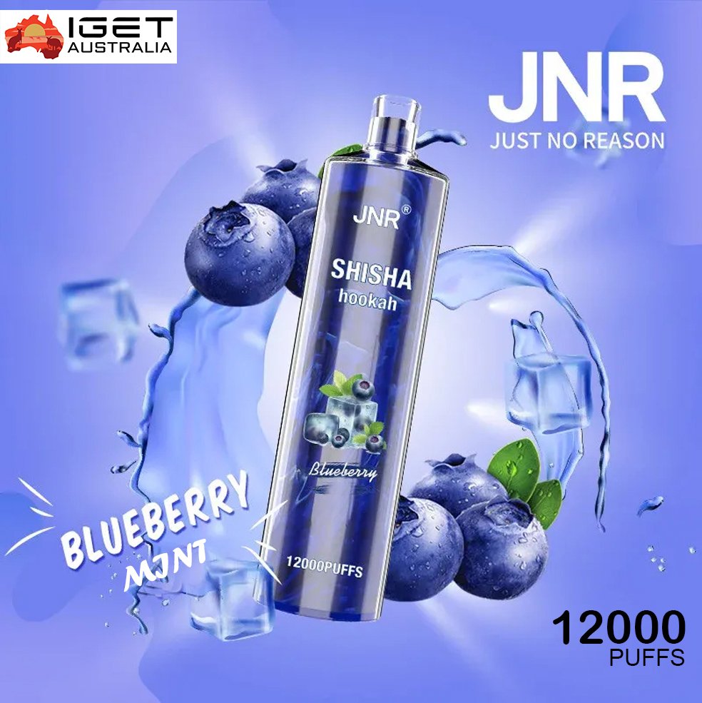 jnr shisha hookah blueberry mint 12000 puffs 2.jpg