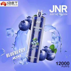 jnr shisha hookah blueberry mint 12000 puffs 3.jpg