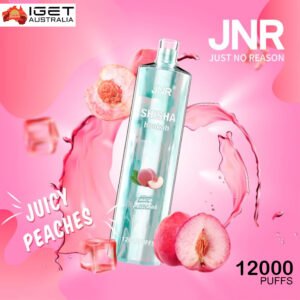 jnr shisha hookah juicy peaches 12000 puffs 1.jpg
