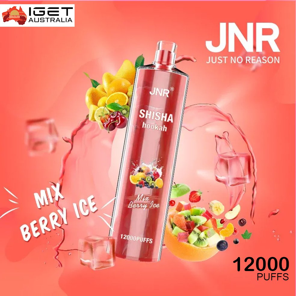 jnr shisha hookah mix berry ice 12000 puffs 1.jpg