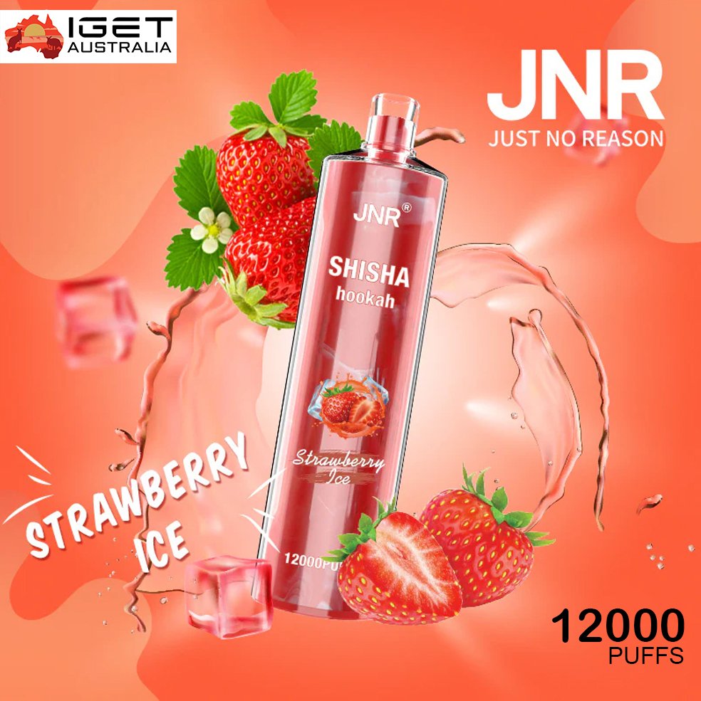 jnr shisha hookah watermelon ice 12000 puffs 1.jpg