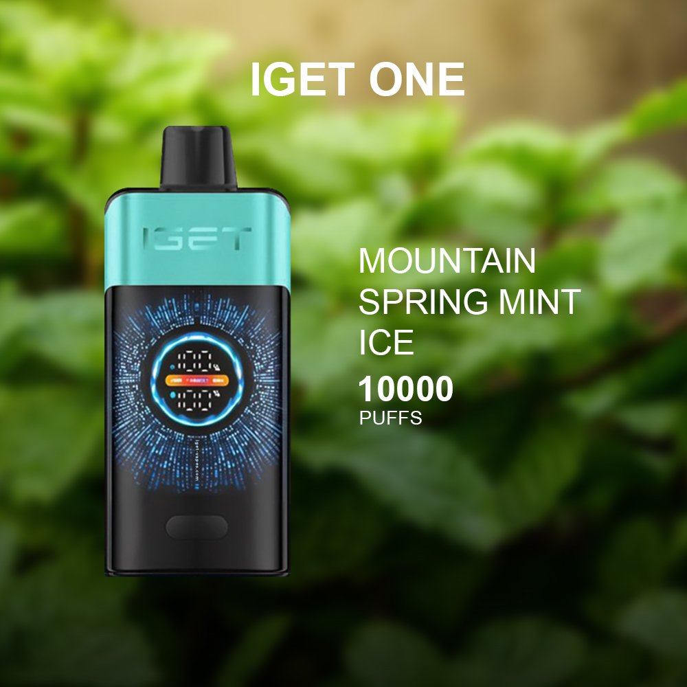 mountain spring mint ice.jpg