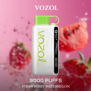 strawberry watermelon vozol star 9000.jpg