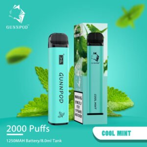 gunnpod cool mint 2000 puff.jpeg