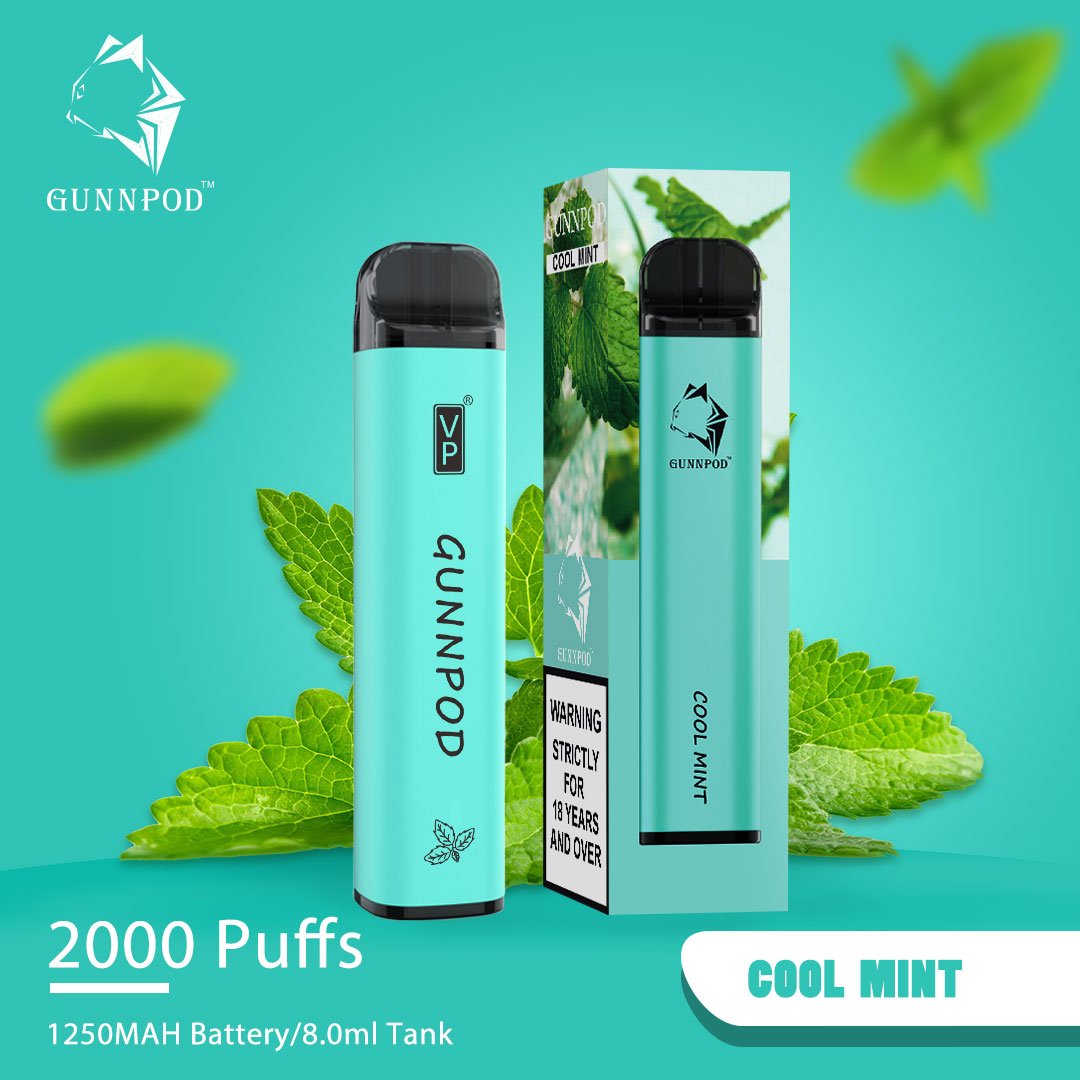 gunnpod cool mint 2000 puff.jpeg