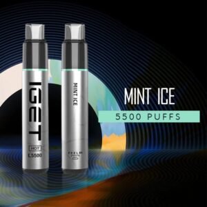 iget hot mint ice.jpeg