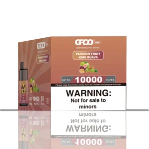 14 1.webp