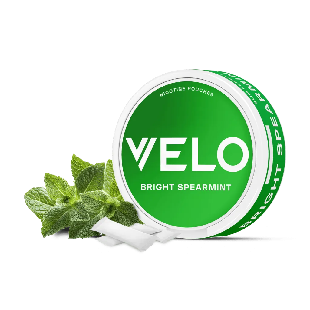 bright.webp