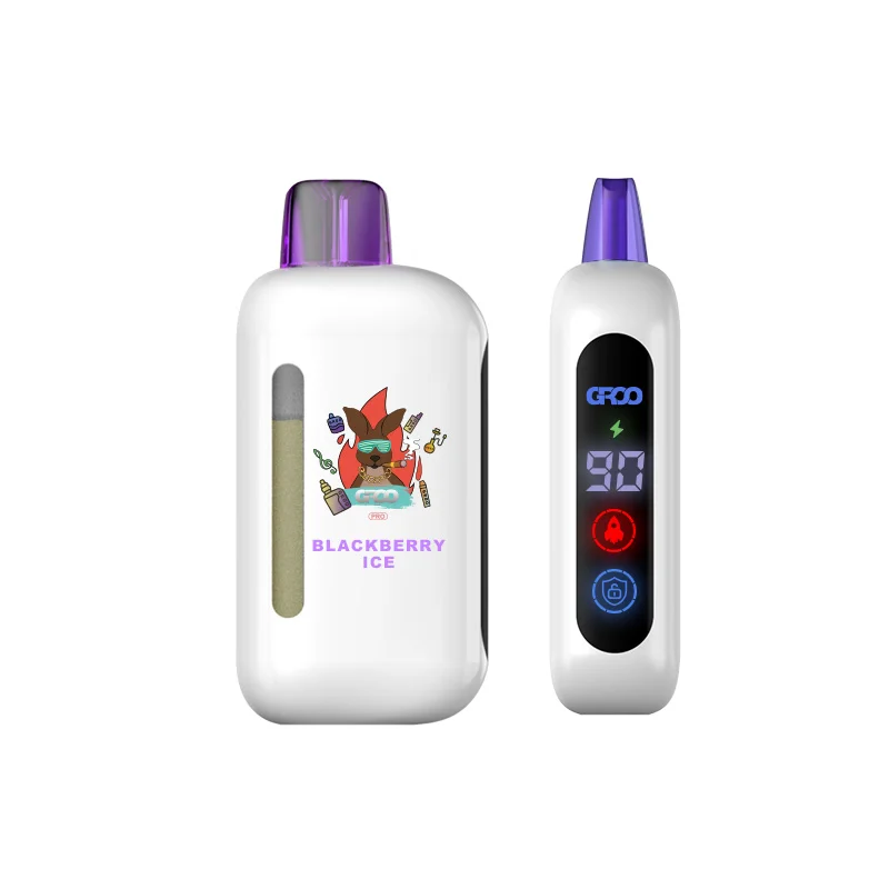 bi 1.webp